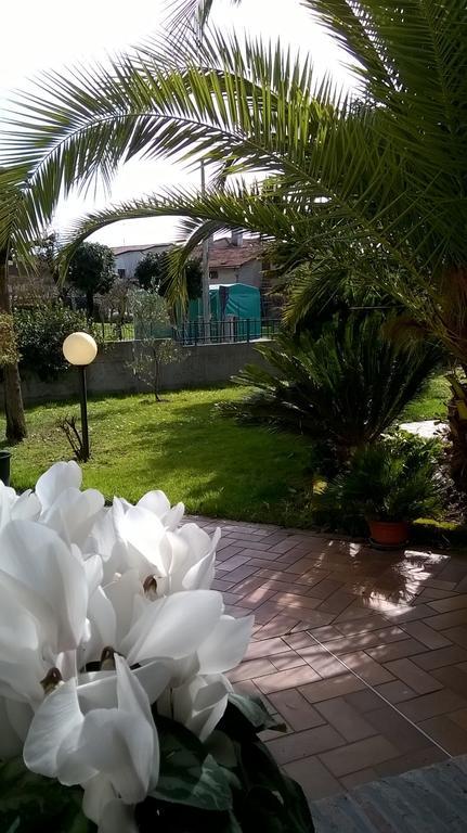 B&B La Cascina Concordia Sagittaria Екстериор снимка