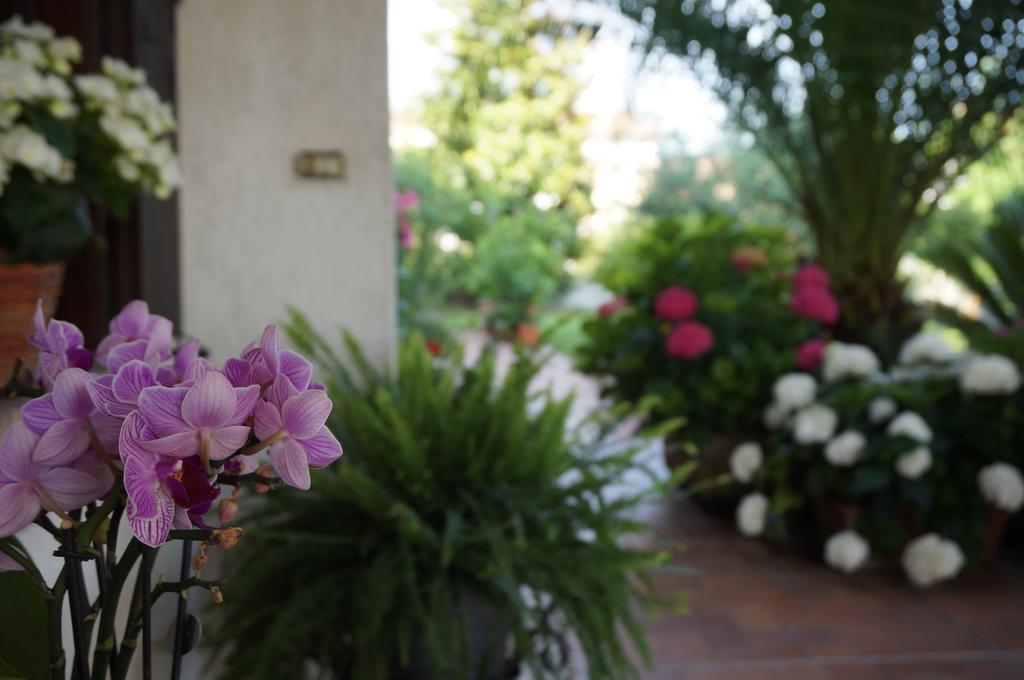 B&B La Cascina Concordia Sagittaria Екстериор снимка